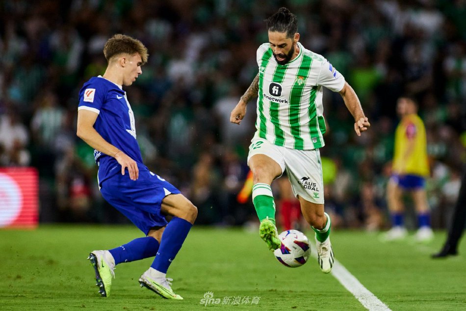 新赛季正式 新赛季正式